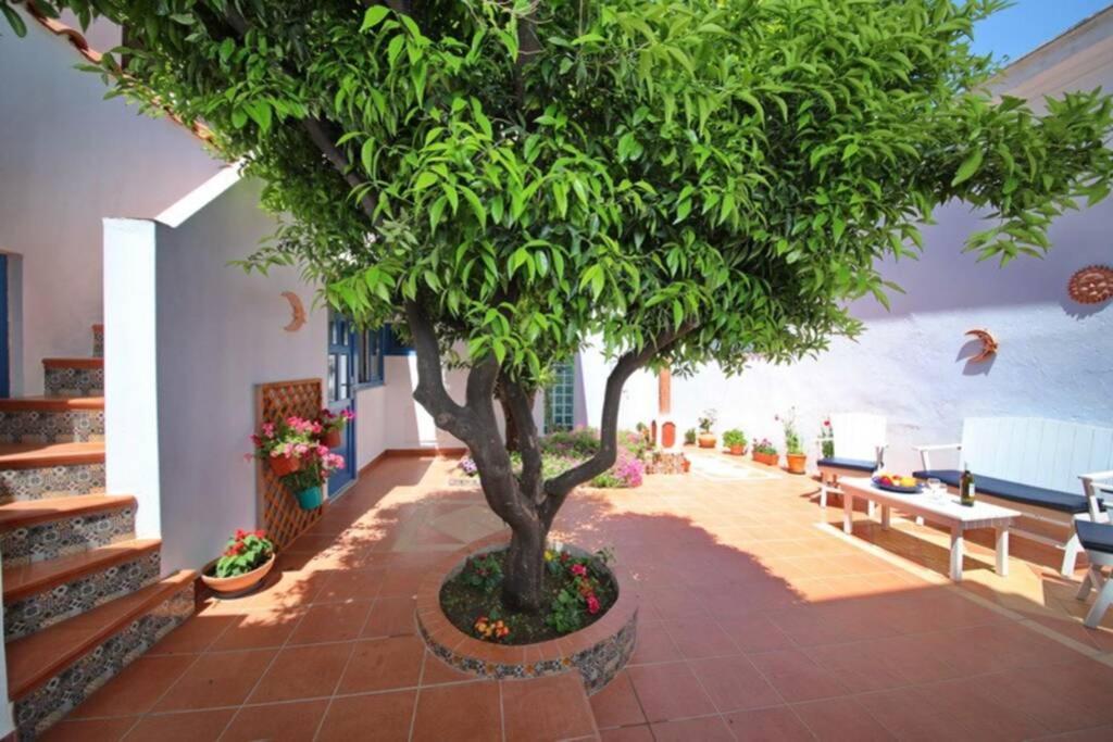 Philoxenia Guest House Скопелос Екстериор снимка