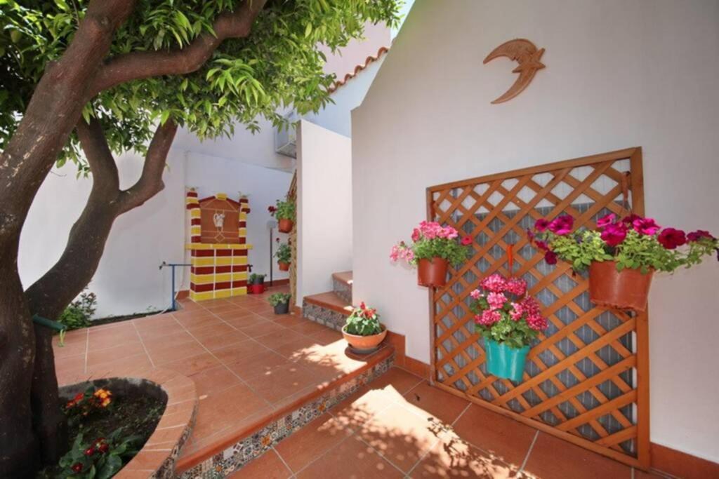Philoxenia Guest House Скопелос Екстериор снимка